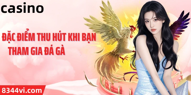 Hình ảnh quảng cáo của kn7 hiển thị nền tảng và các lợi ích